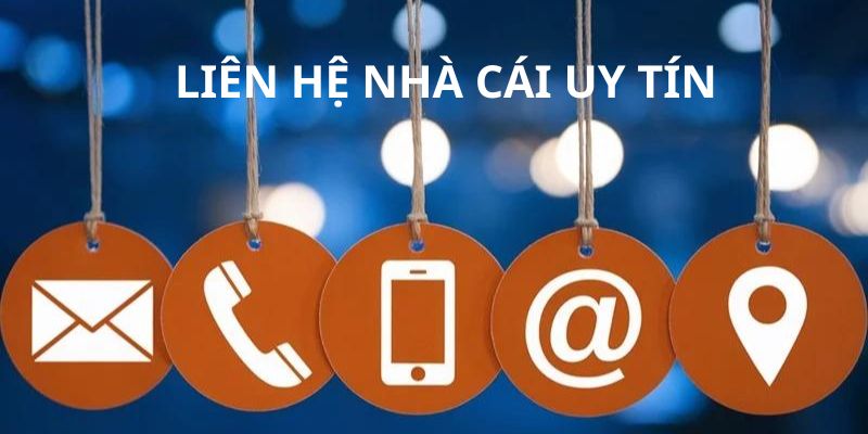 Kết nối