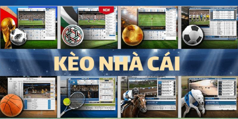 Kong88 lựa chọn hàng đâu cho sự uy tín