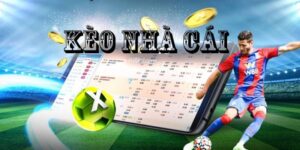 Soi kèo nhà cái kong88